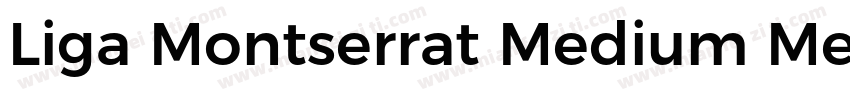 Liga Montserrat Medium Medium字体转换